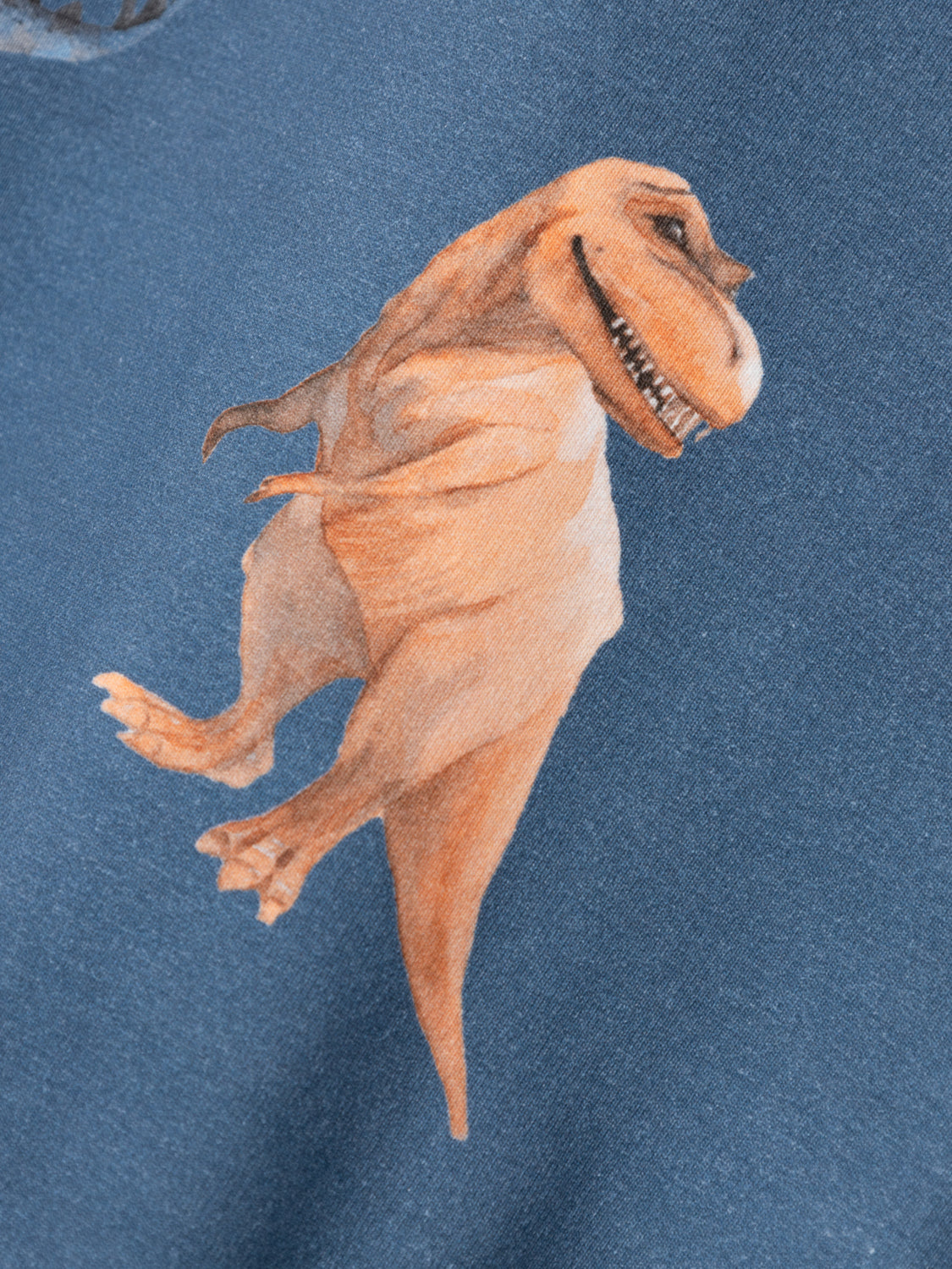 NMMNODINO Sweatshirts - Bluefin