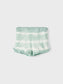 NMFHALO Shorts - Aquifer